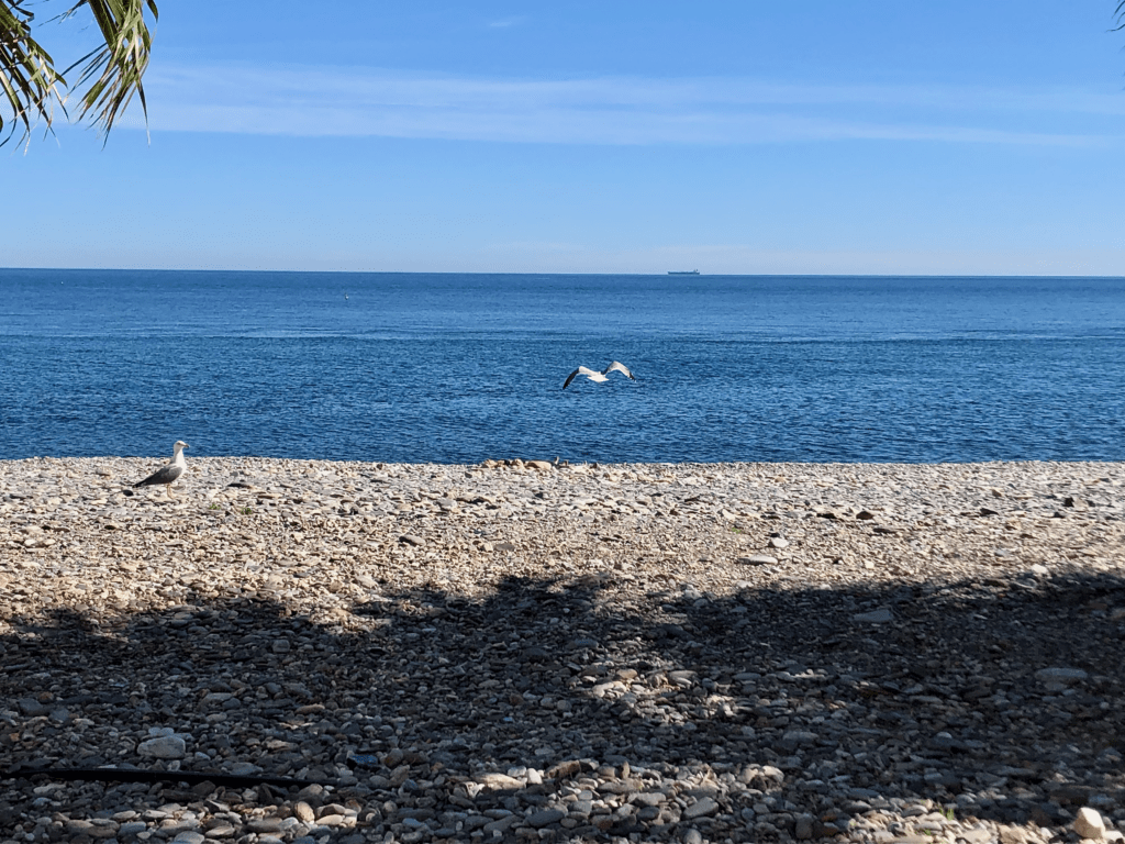 Playa Velilla- Almuñécar